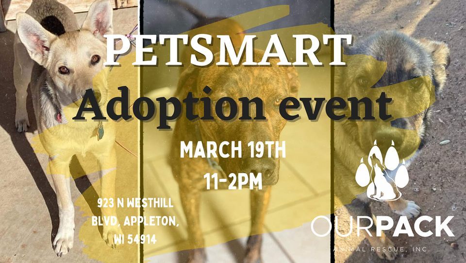 Our Pack Adoption Event Petsmart, PetSmart, Appleton, March 19 2023