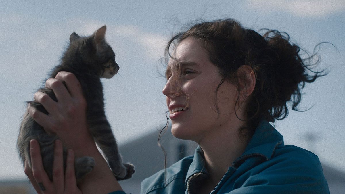 Sorry, 2 December | Event in Washington | AllEvents