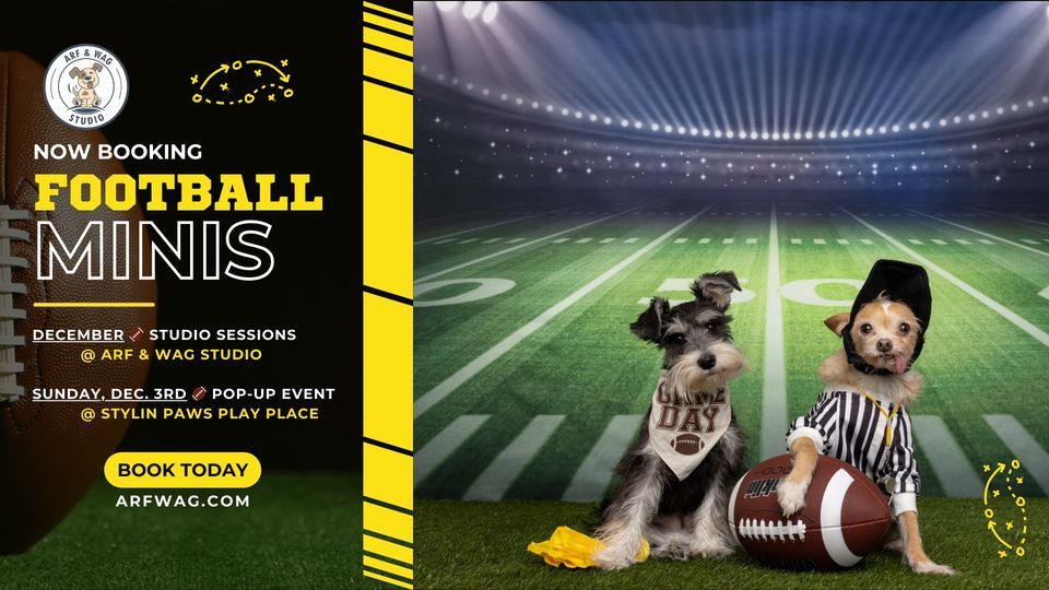 Football Mini Sessions @ Arf & Wag Studio, Arf & Wag Studio, Des Moines ...