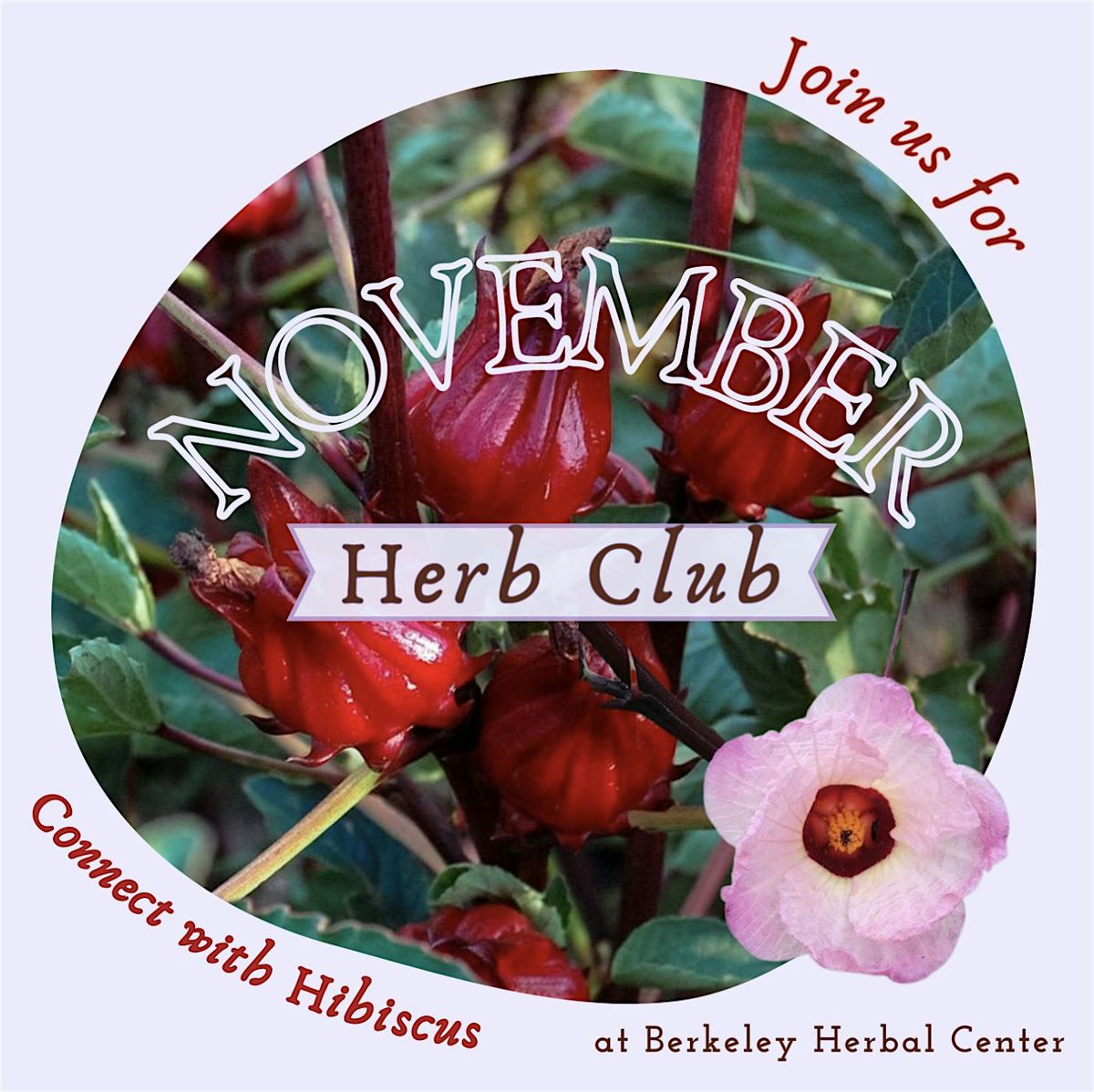 November Herb Club, 25 December | Event in Berkeley | AllEvents