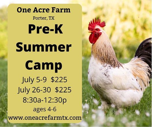 Pre K Summer Camp 3416 Magnolia Dr Porter Tx 77365 7520 United States July 26 2021 Allevents In