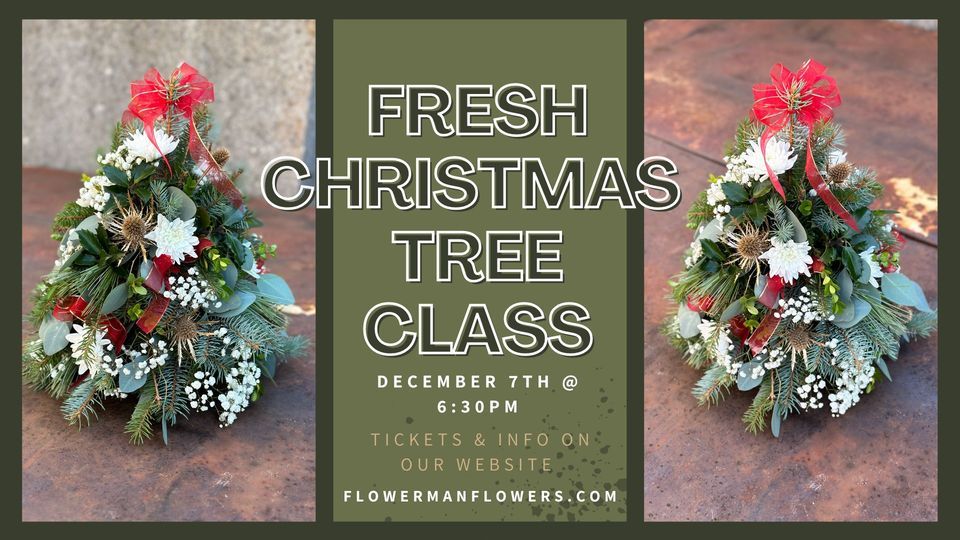 Fresh Christmas Tree Class Dayton, The Flowerman 70A Westpark Rd
