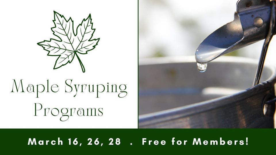 Maple Syruping Programs; Morning Sessions, 1000 Rustad Rd, Faribault ...