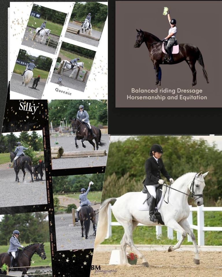 Ease of Handling Obstacles training for Dressage/Confidence building