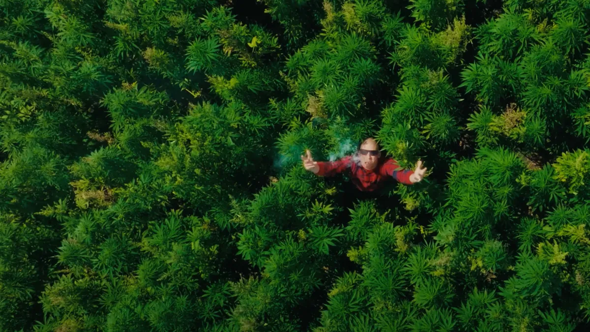 Chillinit in Barwon Heads, 20 December | Event in Barwon Heads | AllEvents