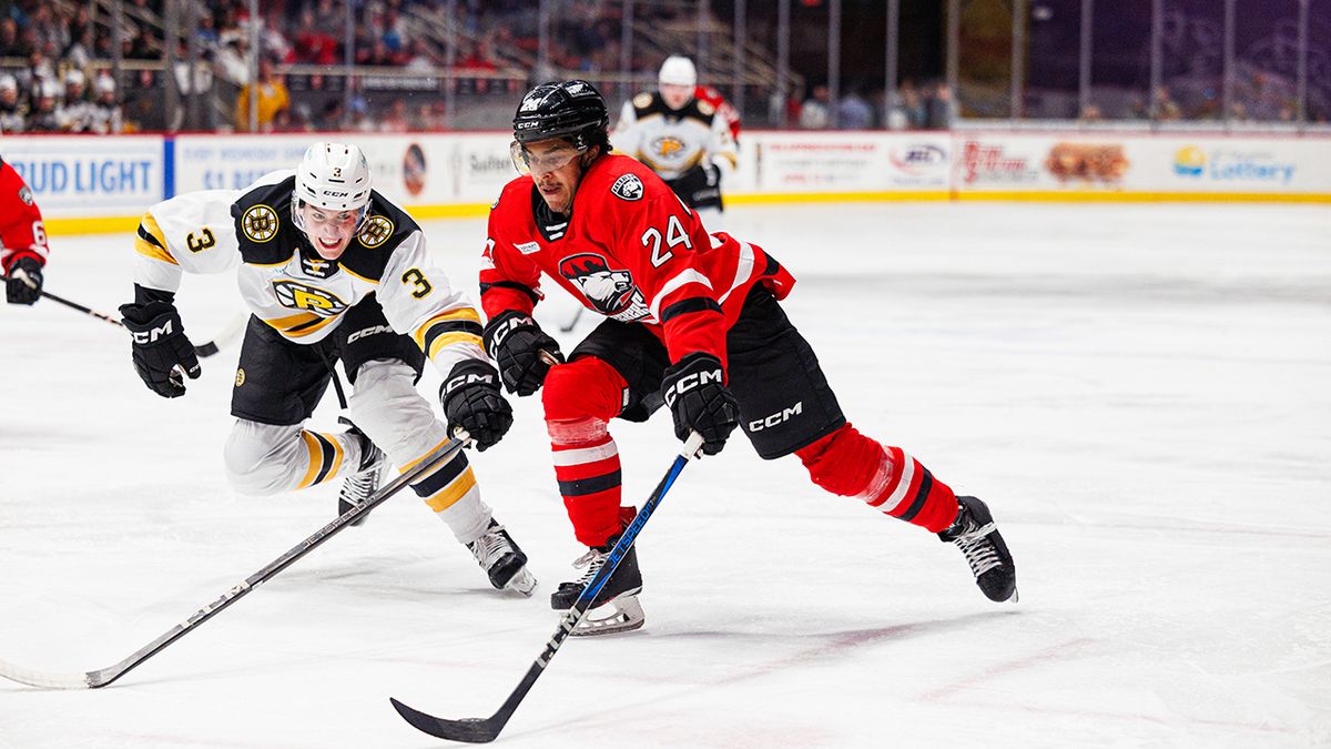 AHL Atlantic Division Semifinals: Charlotte Checkers vs. Providence Bruins - Home Game 3  Series Game 5 (If Necessary), 10 May