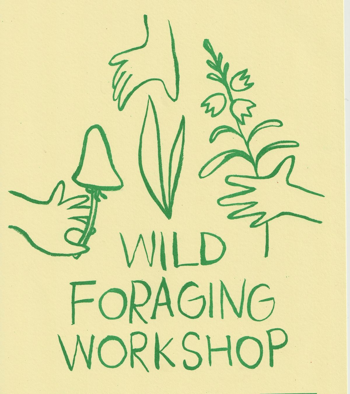 Wild mushroom foraging at Bennachie, Bennachie Visitor Centre, Pitcaple ...