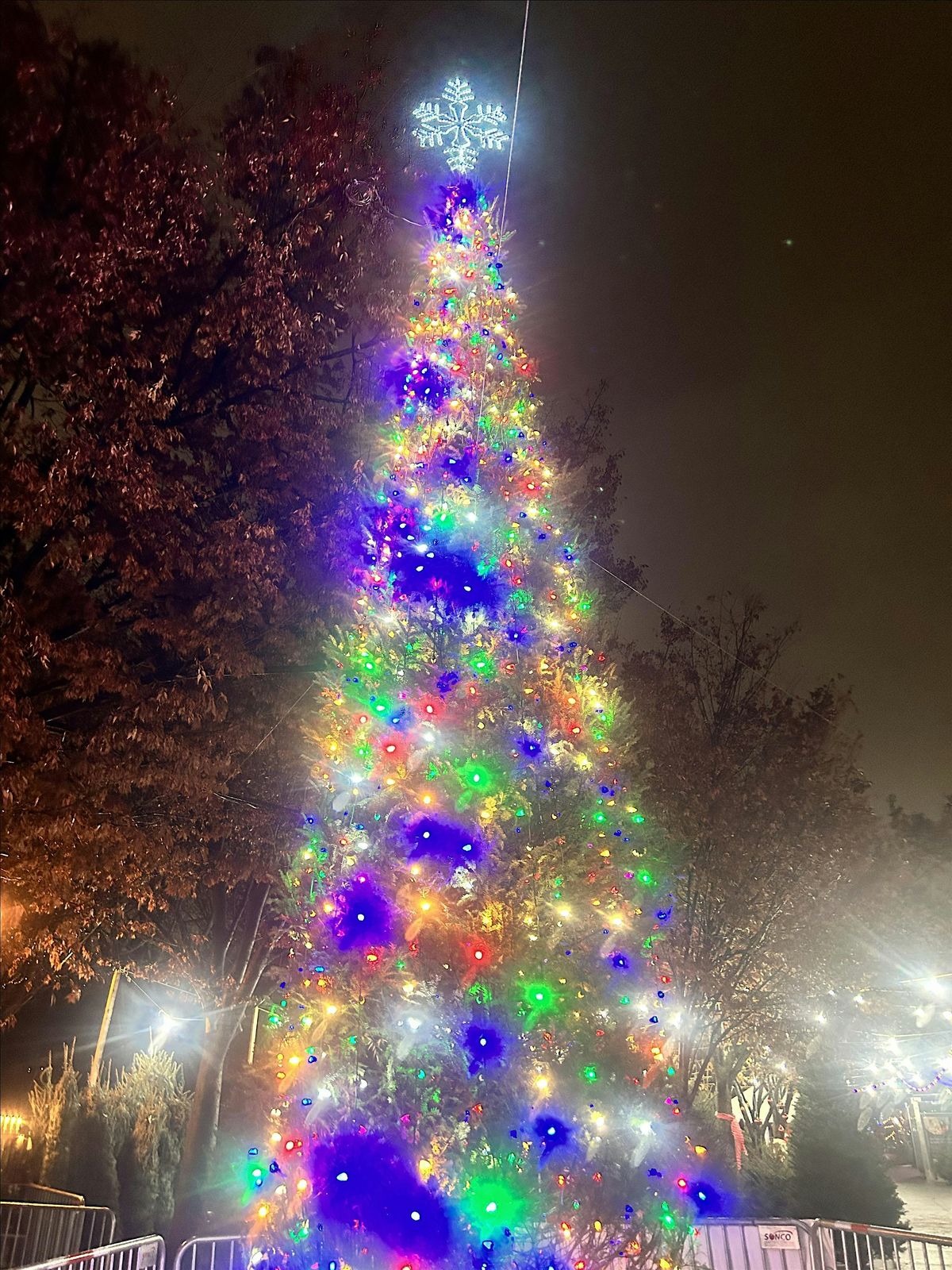 Tree Lighting, 29 November | Event in Brooklyn | AllEvents