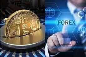 Earn while you learn forex