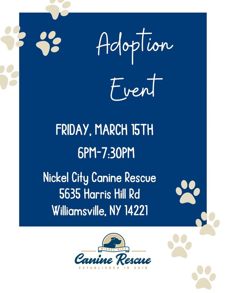 Adoption Event, 5635 Harris Hill Rd, Clarence Center, 15 March 2024