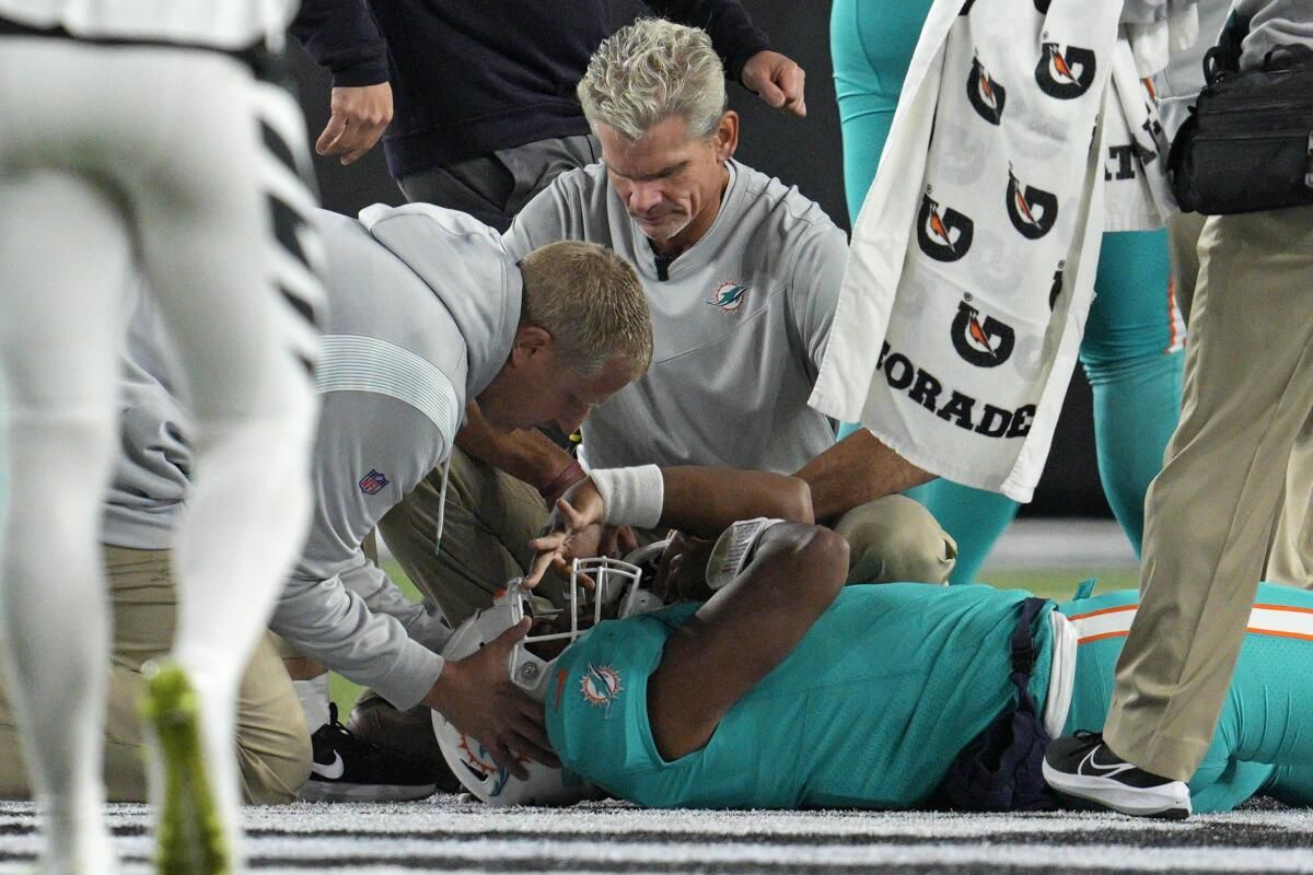 Cincinnati Bengals at Miami Dolphins, 22 December | Event in Miami Gardens | AllEvents