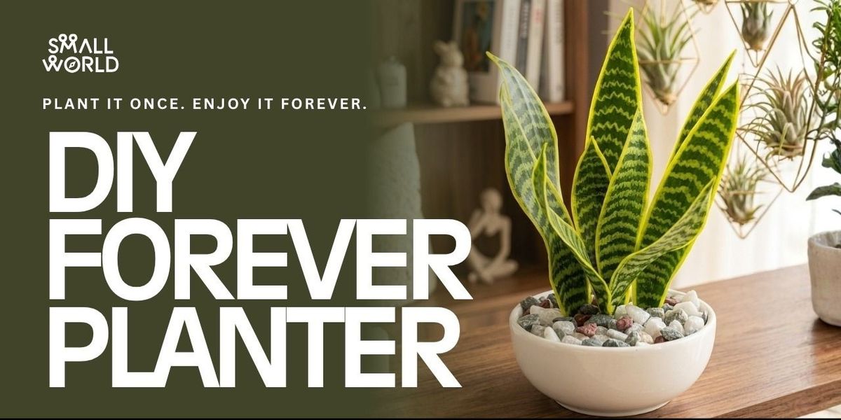 DIY Forever Planter