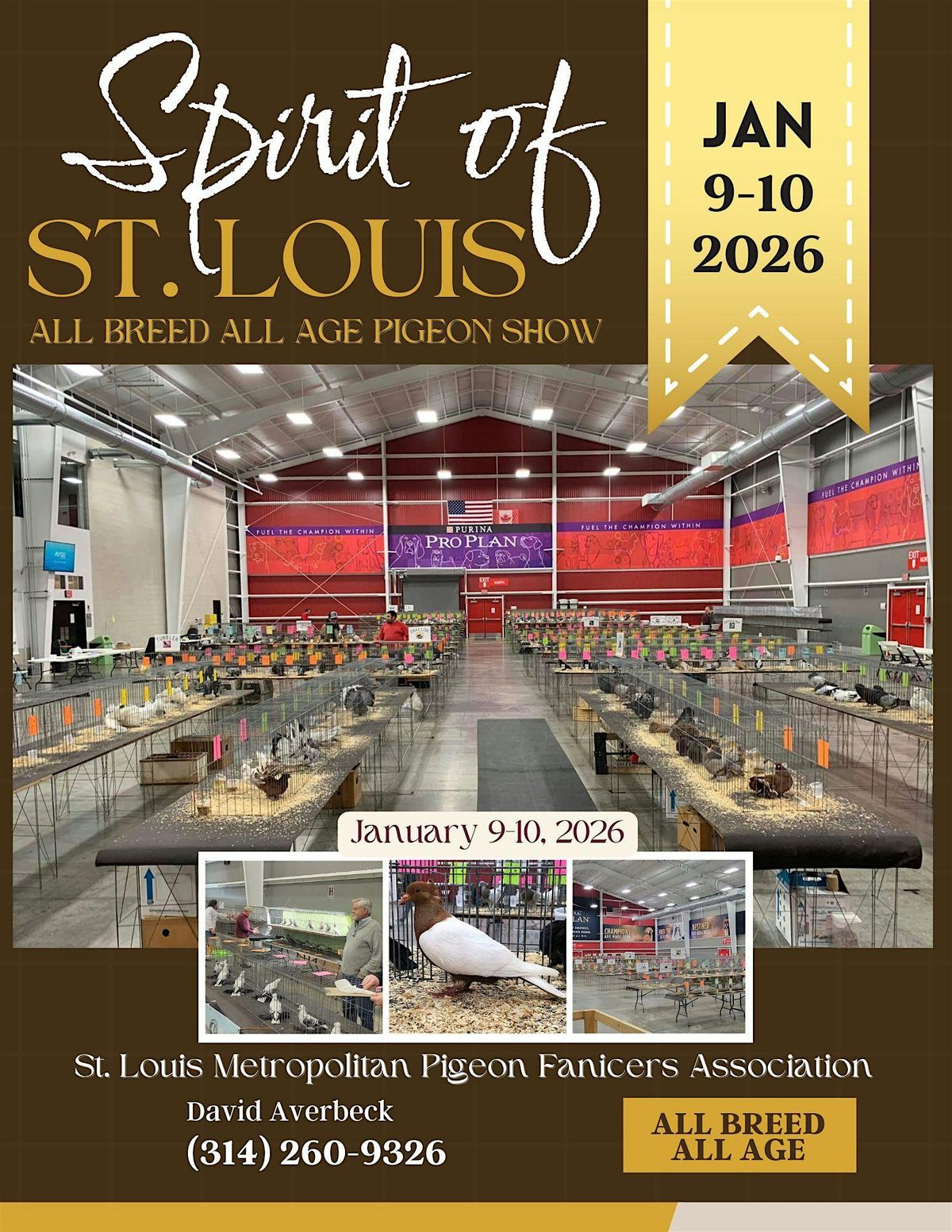 Spirit of St. Louis Pigeon Show by SLMPFA