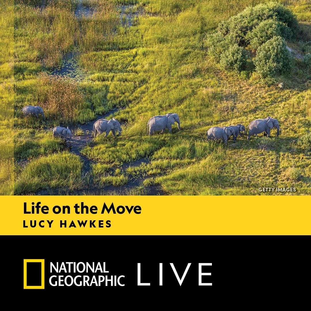 National Geographic Live: Life On The Move - Lucy Hawkes, 15 February | Event in Des Moines | AllEvents