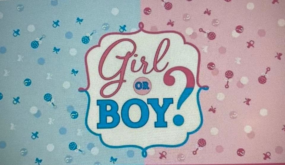 Gender Reveal Party, 110 Swarthmore Drive, Lititz, June 24 2023