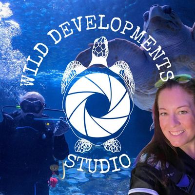 Wild Developments Studio