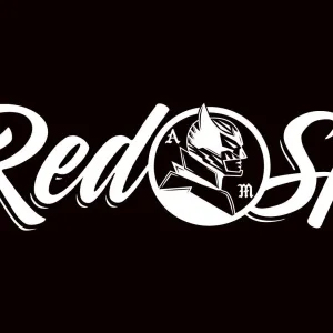 RED SPIDER in 京都市