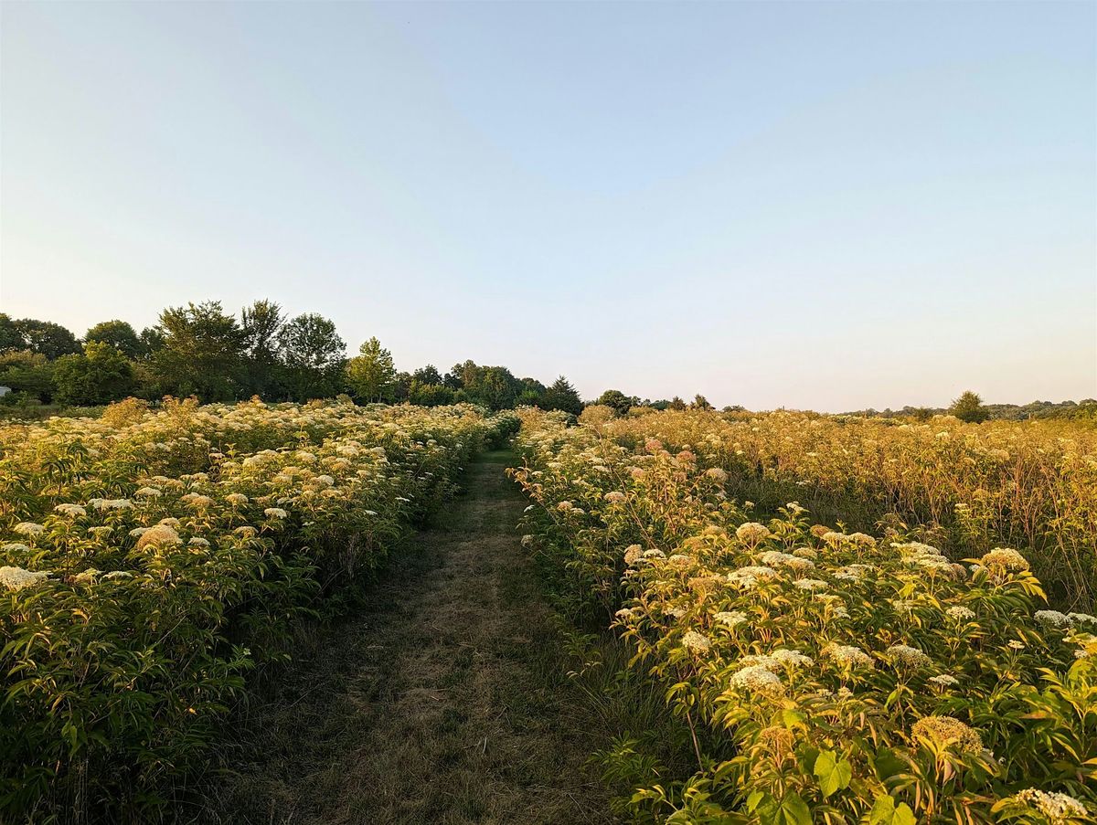 Grower Connections at the Farm to Cafeteria Conference, 3 December | Event in Albuquerque | AllEvents