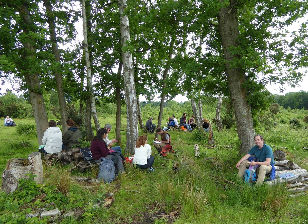 Plant Identification in the Field, 22 June | Event in Canterbury | AllEvents