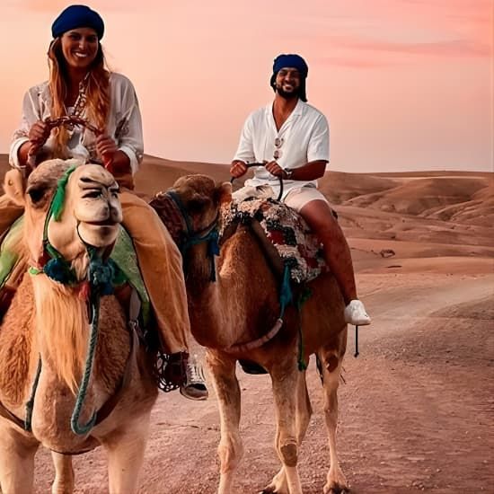 Sunset & Dinner in Desert Agafay Marrakech with Camels | Event in Marrakesh | AllEvents