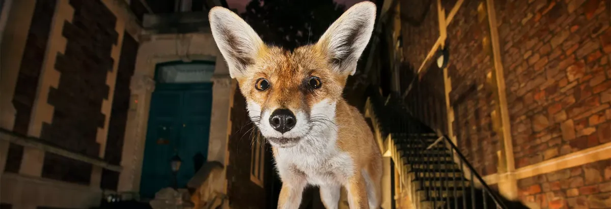 Parking Uncovering Our Concrete Jungles by Chris Schell, 28 February | Event in Thousand Oaks | AllEvents