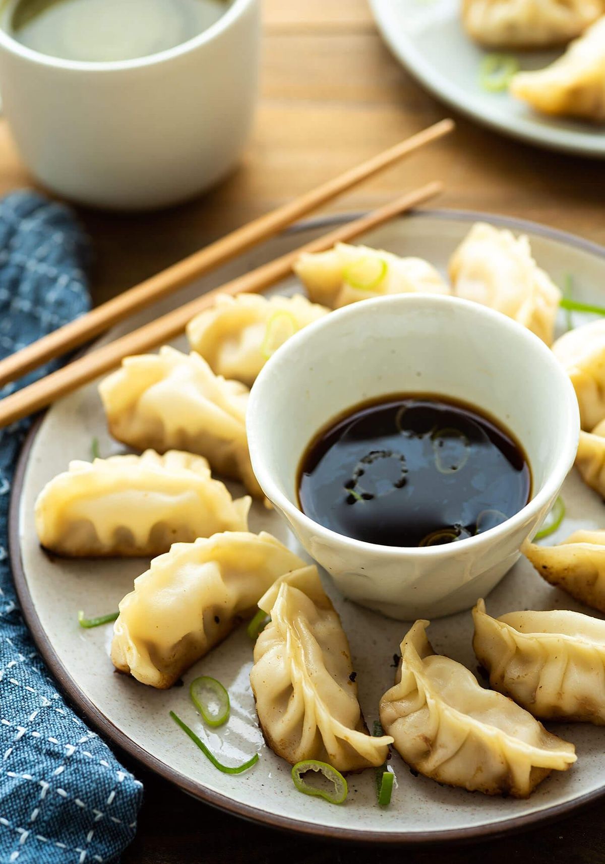 Pork or Turkey and Spring Onion Gyoza, May 6 2020 Online Event