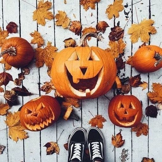 Harvest Craft Fair Brookfield Orchards North Brookfield September 11 To September 12 Allevents In Brookfield Orchard Craft Fair 2022