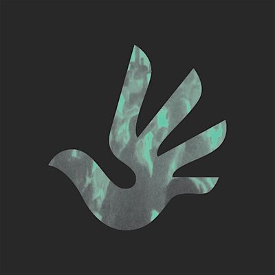 Document Human Rights Film Festival logo