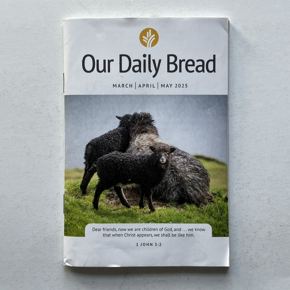 Daily Bread - 2 Day Pass, 11 September | Event in Pelham | AllEvents