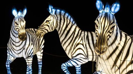 Cyber Monday Deal Bronx Zoo Holiday Lights New York New York January 5 2022 Allevents In Bronx Zoo Free Day Wednesday 2022