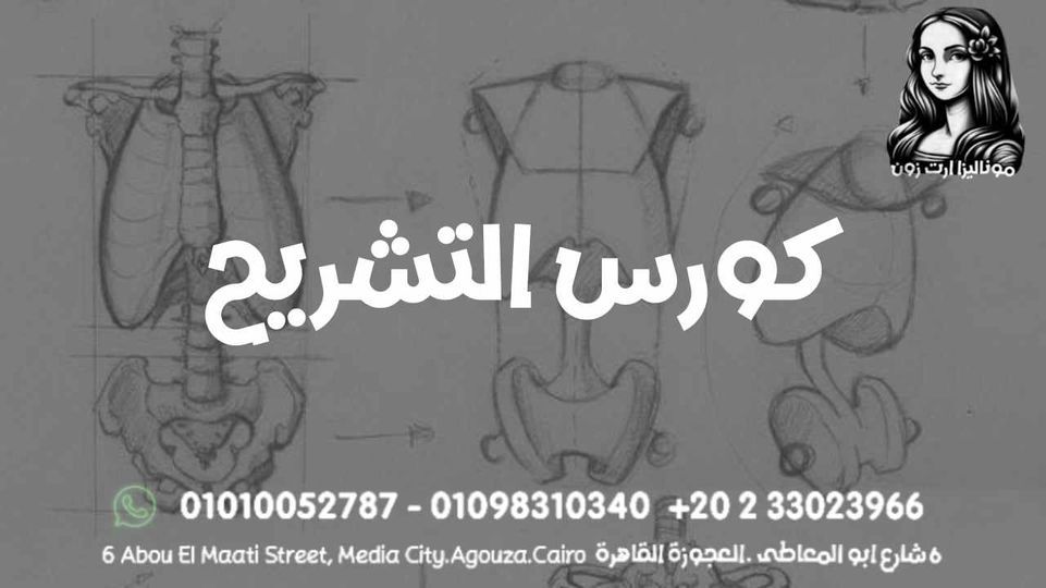 كورس رسم نسب جسم الانسان ( التشريح ) Coursework Drawing the(Anatomy ...