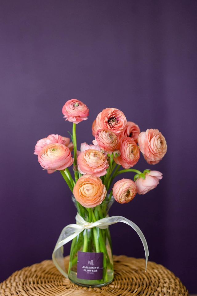 Flower Friday Season Kickoff!, Jameson's Flowers, Wichita Falls, May 19