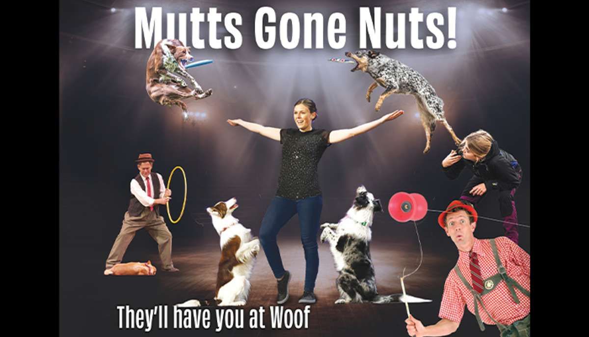 Parking Mutts Gone Nuts: Unleashed, 31 January | Event in Fort Myers | AllEvents