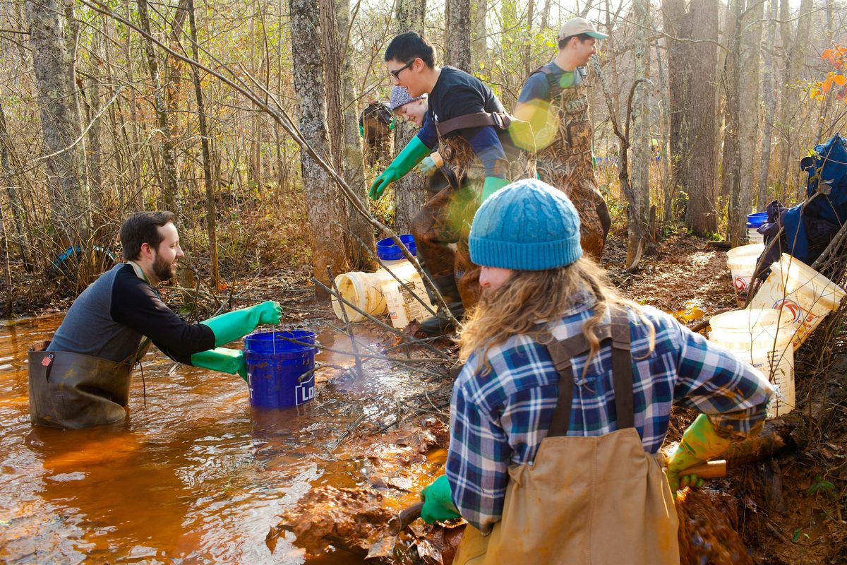 Green Lunch - Turning AMD into Pigment, 9 December | Event in The Plains | AllEvents