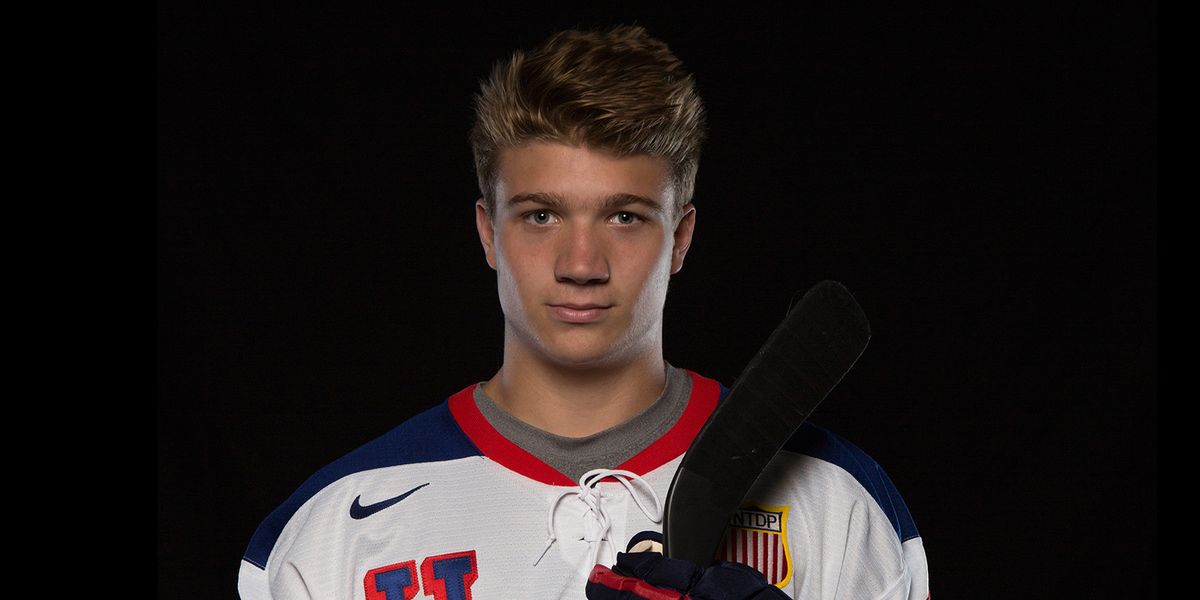 USA Hockey National Team Development Program vs. Ferris State University, 17 October | Event in Plymouth | AllEvents