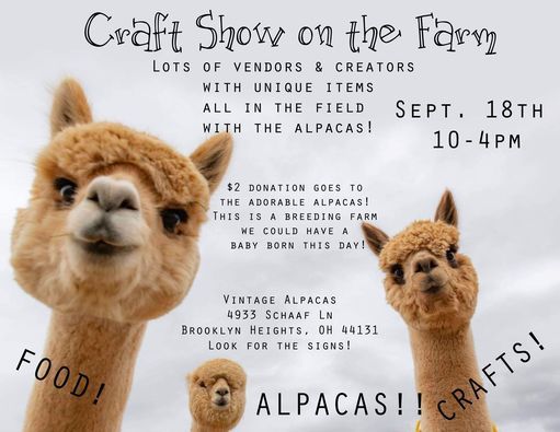 Festivals In Brooklyn Oh Culture Nightlife Celebrations Events Of Brooklyn Oh Brooklyn Craft Fair 2022