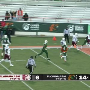 Alabama A&M Bulldogs at Florida A&M Rattlers Womens Basketball