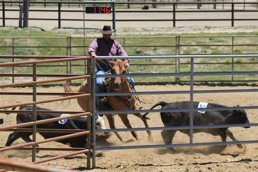 Rsnc Ranch Sorting Sat Oct 17 2020 At 08 00 Am
