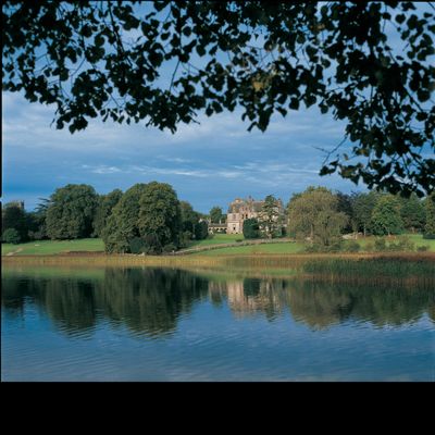 Castle Leslie Estate logo