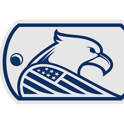 Veterans Network Association