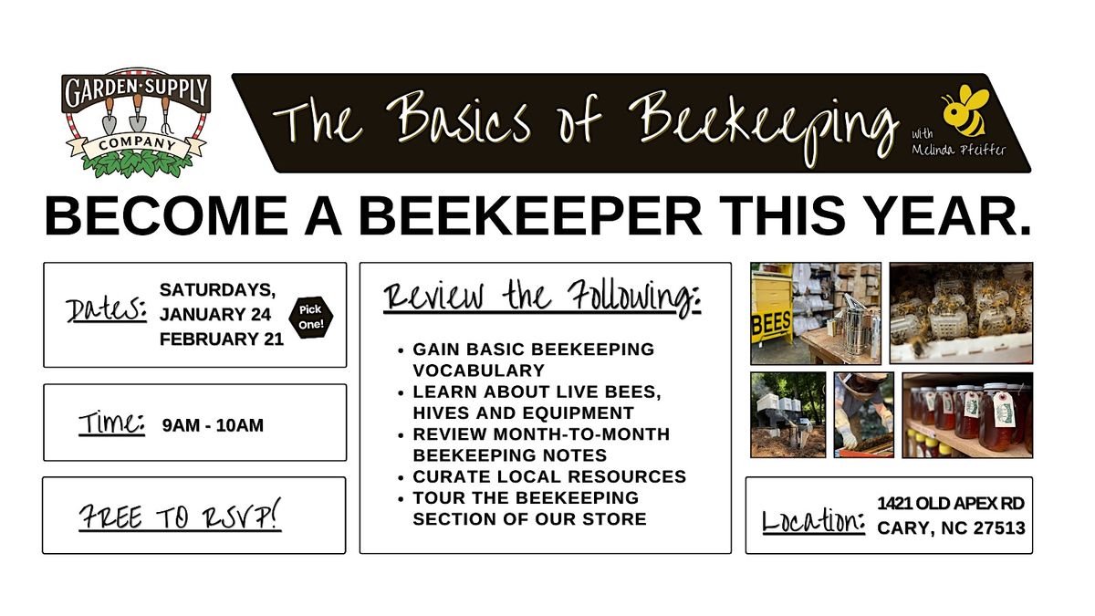 The Basics of Beekeeping