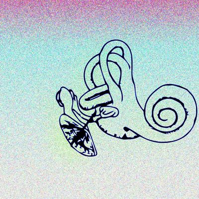 Listen Gallery