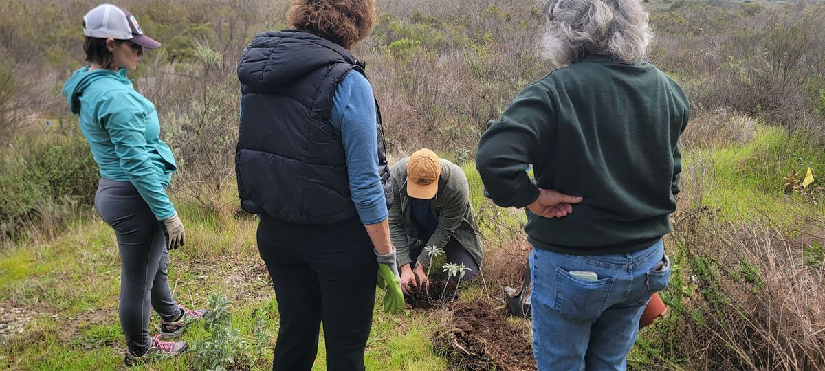Gonzales Canyon Habitat Restoration, 27 December | Event in San Diego | AllEvents