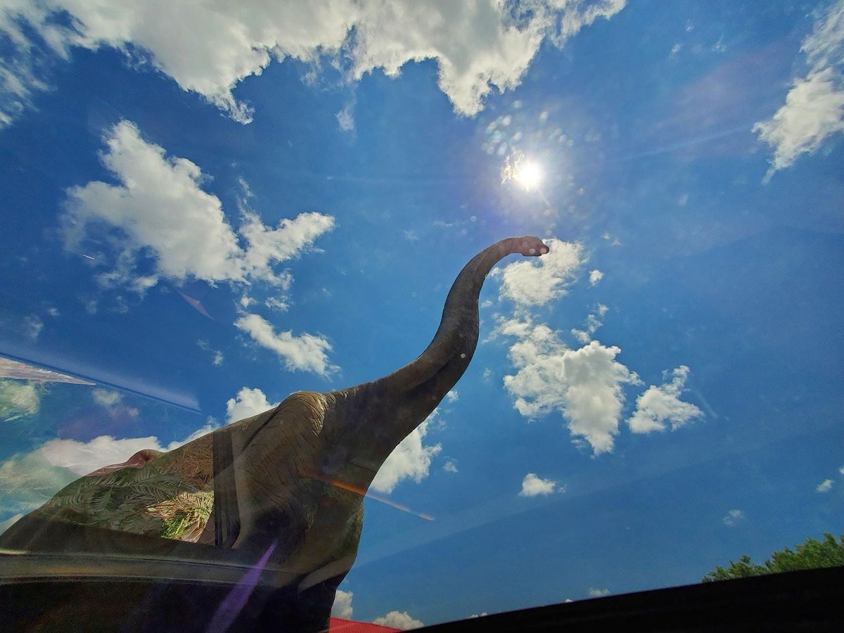 Dinosaur DriveThru Tuesday August 11th COVID 19 Safe, Indian River