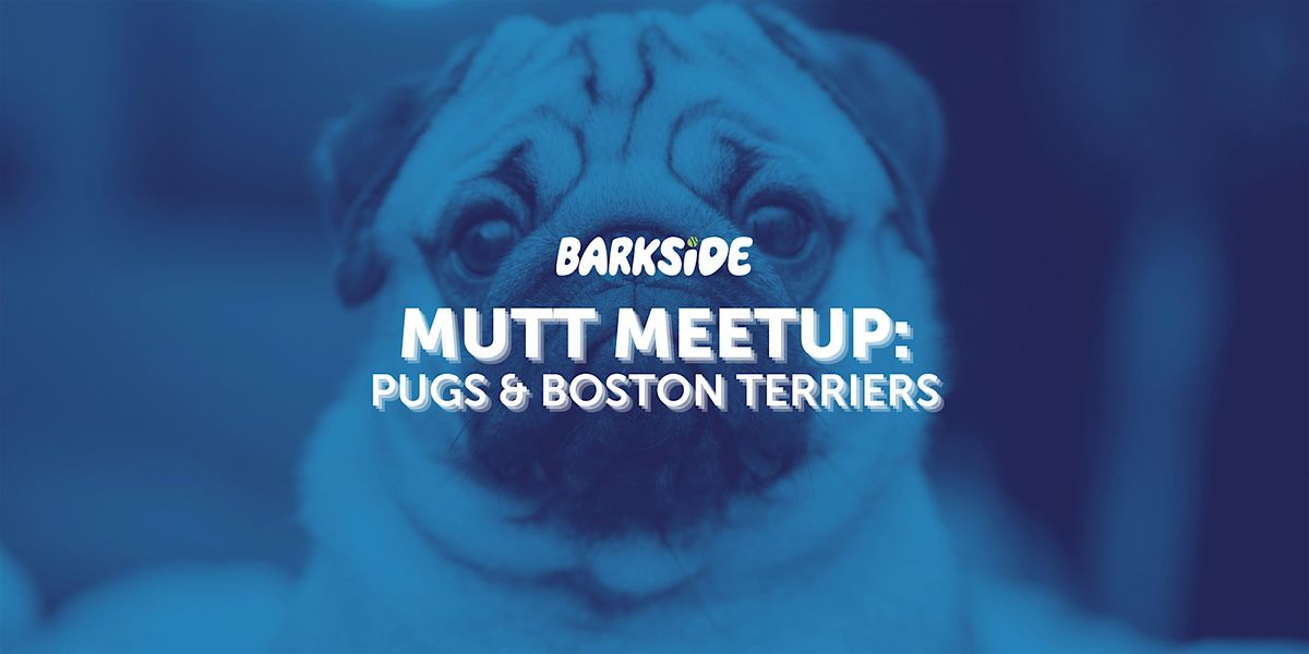 Mutt Meetup: Pugs and Boston Terriers, 21 December | Event in Detroit | AllEvents