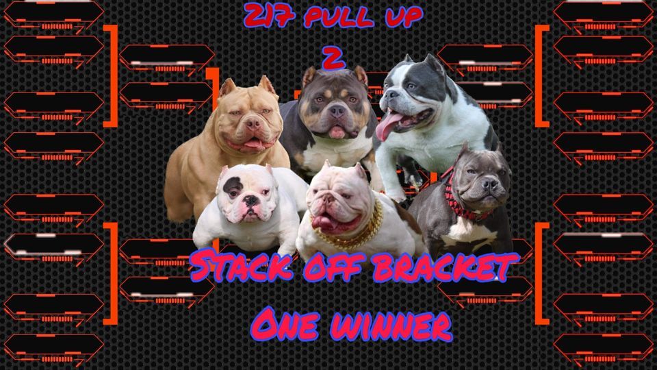 217 Pull Up Part 2 , Willow Branch Daycare, Training, Grooming