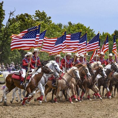California Cowgirls Drill Team logo