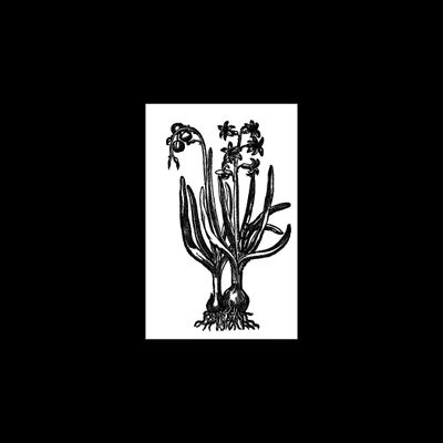 Viridissima Horticulture Design logo