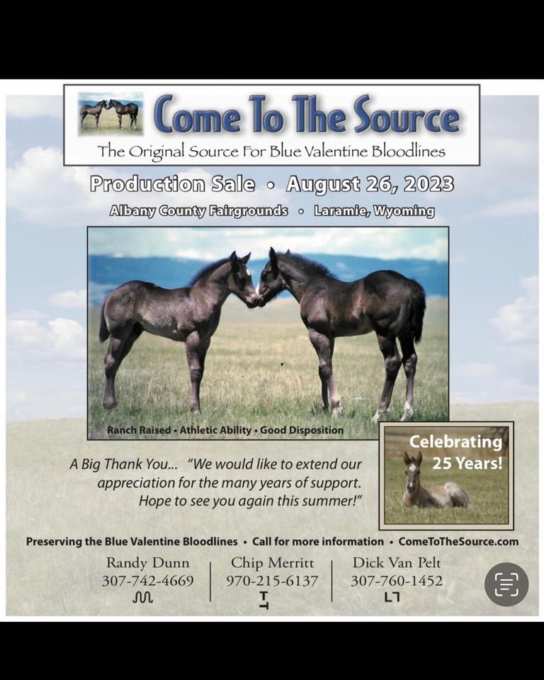 25th ANNUAL COME TO THE SOURCE PRODUCTION SALE, Albany County