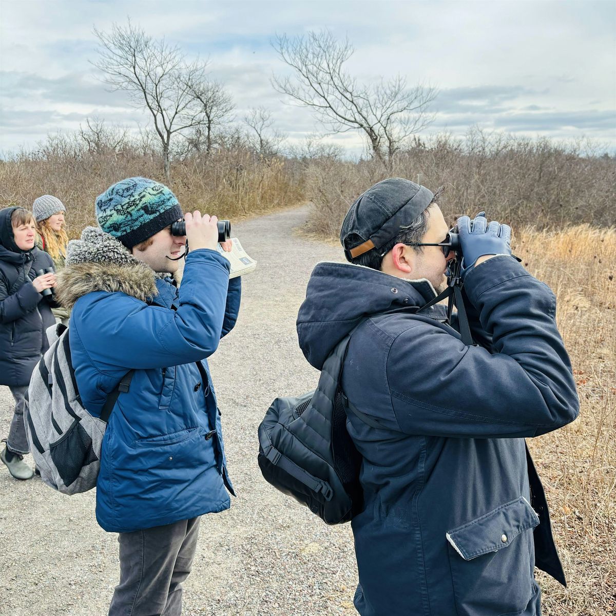 Jamaica Bay Guided Walk: Winter Birds, 21 February | Event in Queens | AllEvents